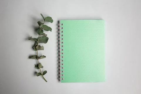 Flat lay pastel composition. background with mint colored notepad and eucalip Stock Photos