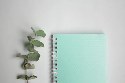 Flat lay pastel composition. background with mint colored notepad and eucalip Stock Photos