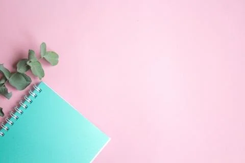 Flat lay pastel composition. background with mint colored notepad and eucalip Stock Photos