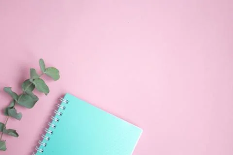 Flat lay pastel composition. background with mint colored notepad and eucalip Stock Photos