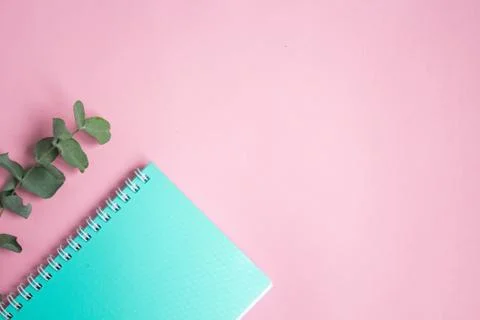 Flat lay pastel composition. background with mint colored notepad and eucalip Stock Photos