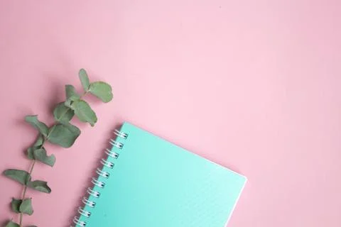 Flat lay pastel composition. background with mint colored notepad and eucalip Stock Photos