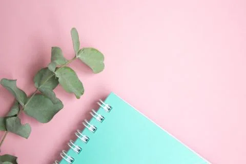 Flat lay pastel composition. background with mint colored notepad and eucalip Foto stock