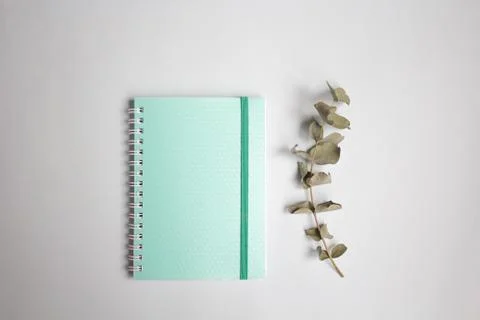 Flat lay pastel composition. background with mint colored notepad and eucalip Stock Photos