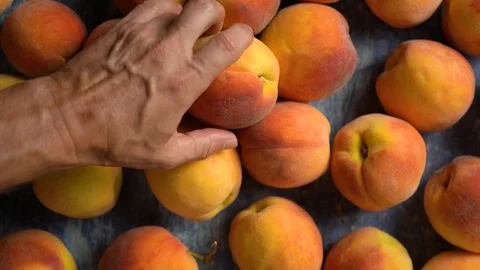 Flat lay of peaches on a blue table top as a hand moves in, picks out a Stock Footage 112423279