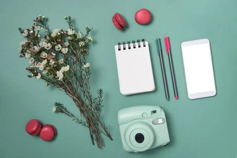 Flat lay phone, camera, notepad and pens, flowers, macaroons on eggshell blue Stock Photos