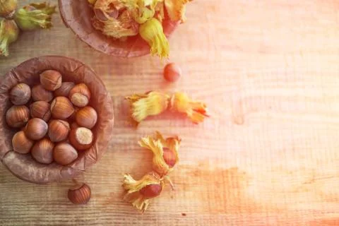 Flat lay photo composition of just harvested whole hazelnuts with shells in a Stock Photos