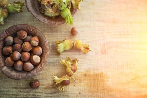 Flat lay photo composition of just harvested whole hazelnuts with shells in a Stock Photos