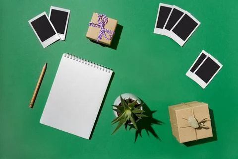Flat lay photos, boxes, notepad, pencil, succulents on green Stock Photos