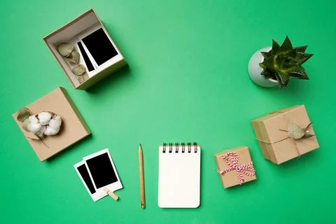 Flat lay photos, boxes, notepad, pencil, succulents on green Stock Photos