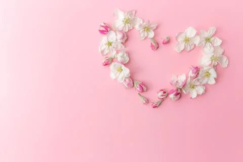 Flat lay on pink background with apple blossom heart shape ornament border Foto stock