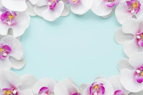 Flat lay pink orchids frame Resolution and high quality beautiful photo Stock Photos