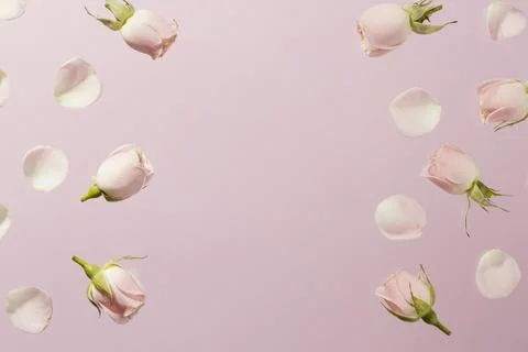 Flat lay pink spring roses with copy space 2. High quality beautiful photo .. Stock Photos