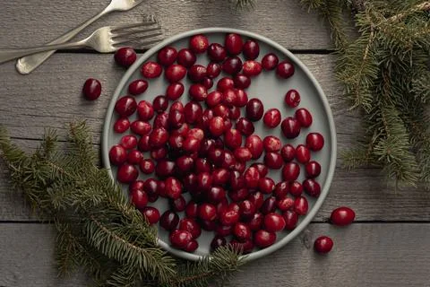 Flat lay plate cranberries with pine forks Stock Photos