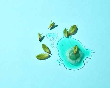 Flat lay of a puddle of melted green mint ice cream with mint leaves on a blue Stock Photos