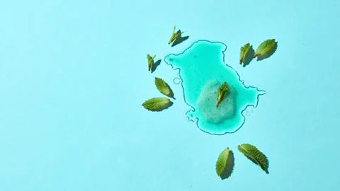 Flat lay of a puddle of melted green mint ice cream with mint leaves on a blue Stock Photos