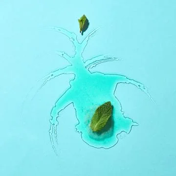 Flat lay of a puddle of melted green mint ice cream with mint leaves on a blue Stock Photos