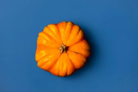 Flat lay of Pumpkin isolated on blue background Foto stock