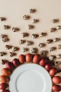 Flat lay quail chicken easter Stock Photos
