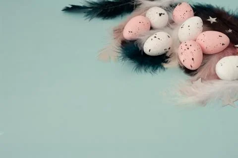 Flat lay quail easter eggs with dark blue, pink feather on blue backdrop, sil Stock Photos