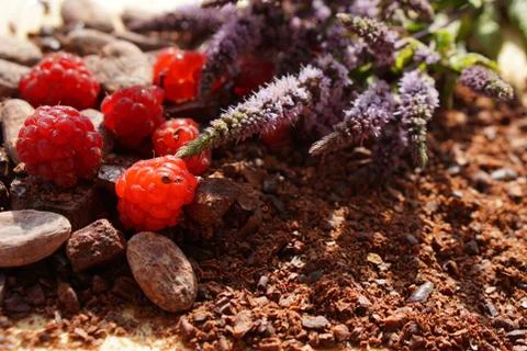 Flat lay  of Raw cocoa beans,  cocoa powder, chocolate on sacking  with mint  Foto stock