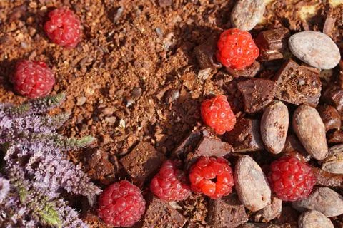 Flat lay  of Raw cocoa beans,  cocoa powder, chocolate on sacking  with mint  Stock Photos