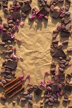 Flat lay  of  Raw cocoa beans,   chocolate on sacking , cinnamon, petals of f Stock Photos