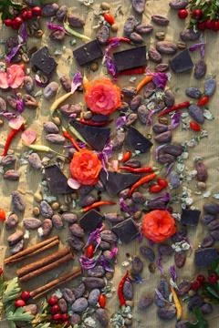 Flat lay  of  Raw cocoa beans,   chocolate on sacking , cinnamon, chili, berr Foto stock
