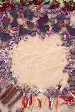 Flat lay  of  Raw cocoa beans,   chocolate on sacking , cinnamon, chili, berr Stock Photos