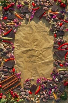 Flat lay  of  Raw cocoa beans,   chocolate on sacking , cinnamon, chili, berr Stock Photos