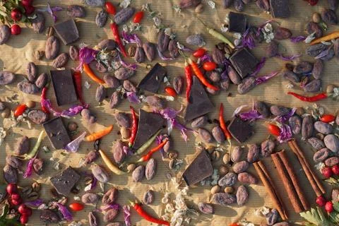 Flat lay  of  Raw cocoa beans,   chocolate on sacking , cinnamon, chili, berr Stock Photos