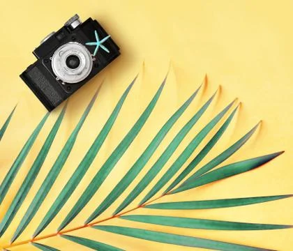 Flat lay of retro photo camera and palm leaves against yellow background mini Stock Photos
