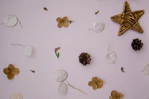 Flat lay rustic creative natural layout of winter plants parts Stock Photos