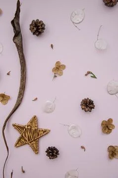 Flat lay rustic creative natural layout of winter plants parts. Stock Photos