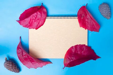 Flat Lay of a spiral bound notebook with brown tones, on a blue background wi Stock Photos