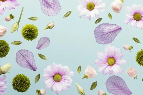 Flat lay spring daisies leaves with copy space. High quality beautiful phot.. 写真素材