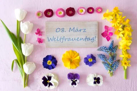Flat Lay With Spring Flower Blossoms, Weltfrauentag Means Womens Day Stock Photos