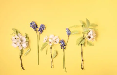 Flat lay from spring flowers on a soft yellow background. View from above, copy Stock Photos