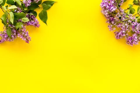 Flat lay of spring lilac flowers. Purple flowers with copy space, top view Stock Photos