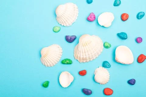 Flat lay summer background or composition Stock Photos