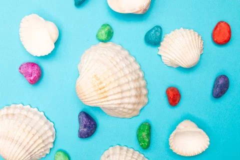 Flat lay summer background or composition Stock Photos