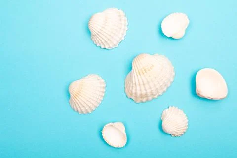 Flat lay summer background or composition Stock Photos