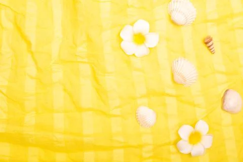 Flat lay summer background or composition Stock Photos