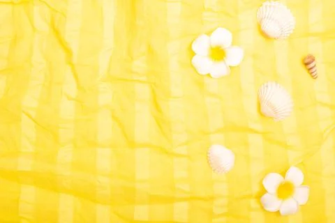 Flat lay summer background or composition Foto stock