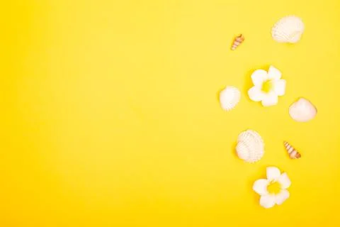 Flat lay summer background or composition Stock Photos