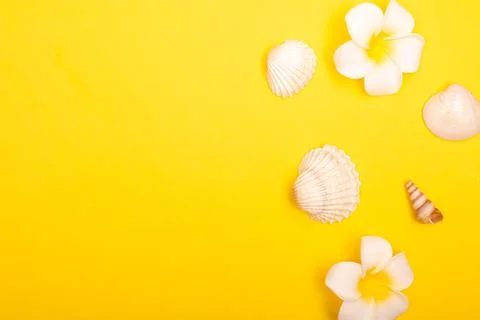 Flat lay summer background or composition Stock Photos