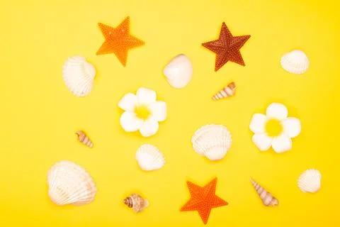 Flat lay summer background or composition Stock Photos