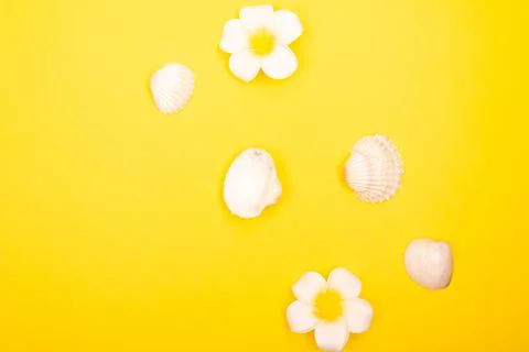 Flat lay summer background or composition Stock Photos