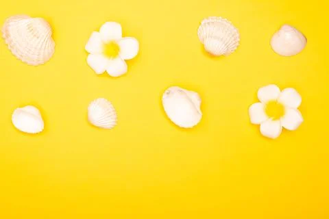 Flat lay summer background or composition Stock Photos