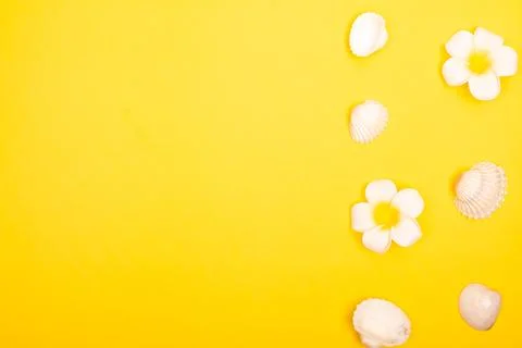 Flat lay summer background or composition Stock Photos